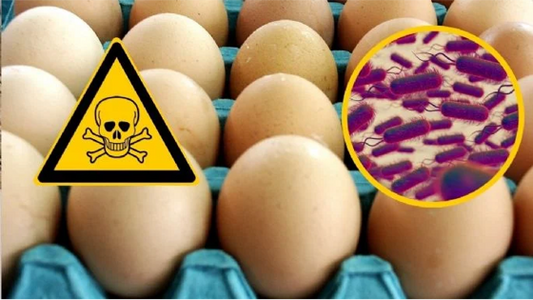🚨 Retiran estas 6 marcas de huevo del supermercado por contaminación de salmonela